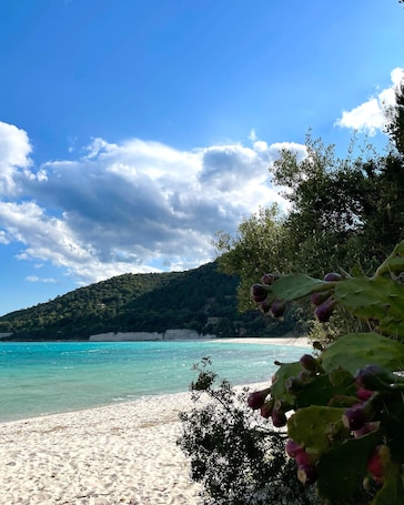 Una spiaggia nelle vicinanze. Résidence de Canella