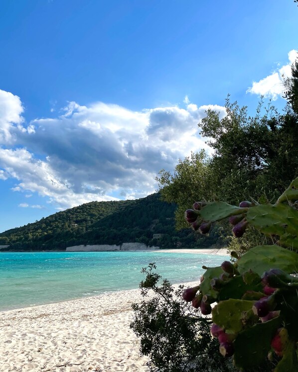 Beach nearby - Résidence de Canella (Sari-Solenzara)