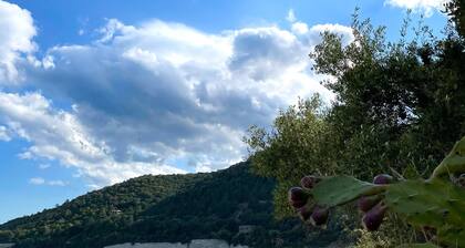 Résidence de Canella