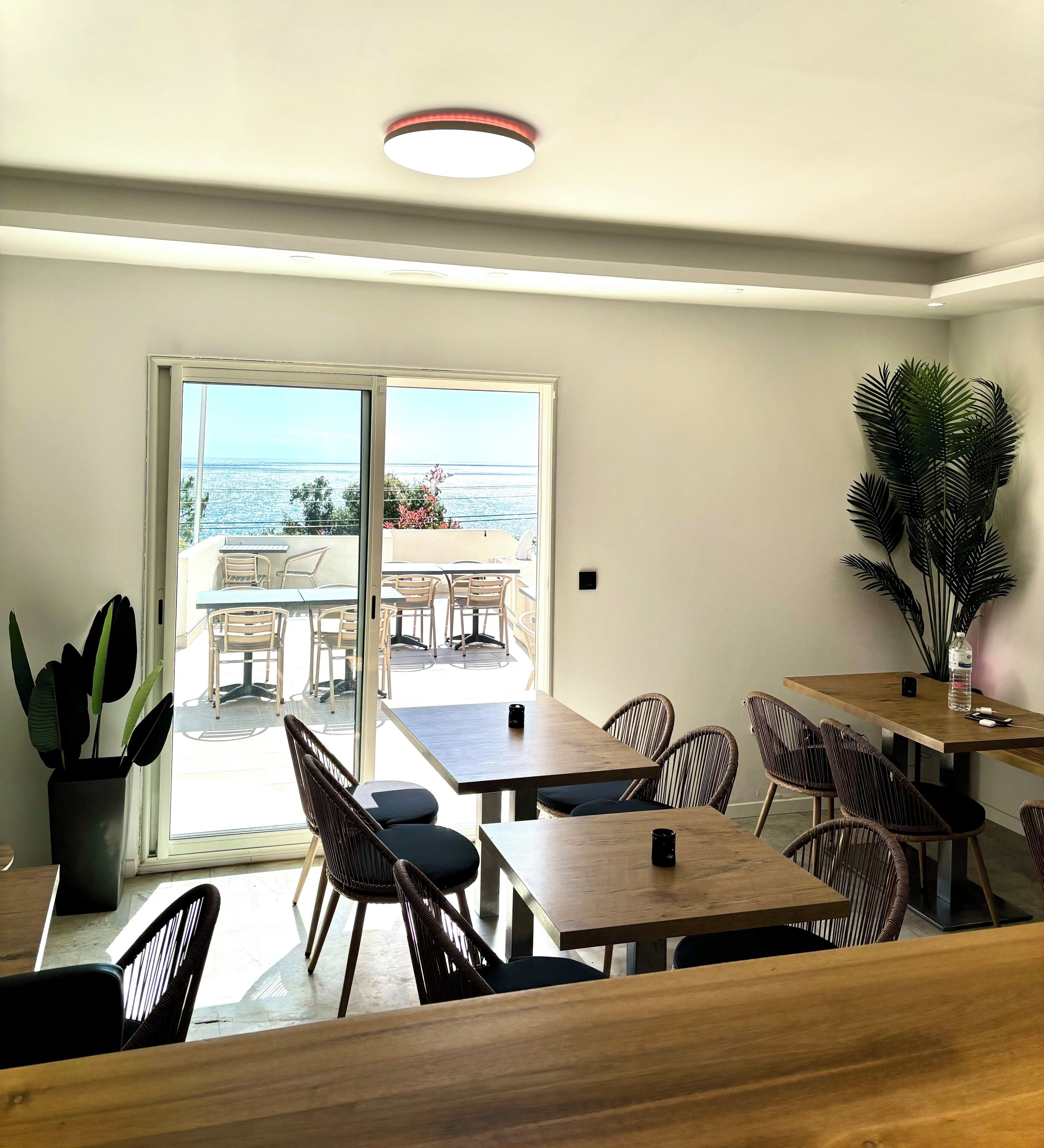 Un espace repas moderne avec des tables et des chaises en bois, une grande plante en pot et une vue sur l’océan par une porte vitrée.