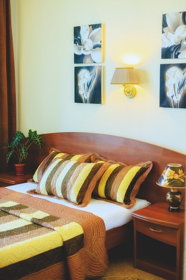 Superior Single Room