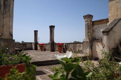 Azienda Agricola Francesca Stajano