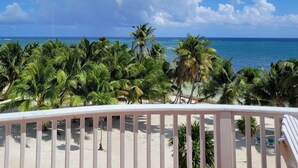 Blick auf einen Strand mit Palmen und blauem Himmel.