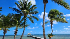 Ein Strand mit Palmen, einer Holzstege und einem Boot im Hintergrund.