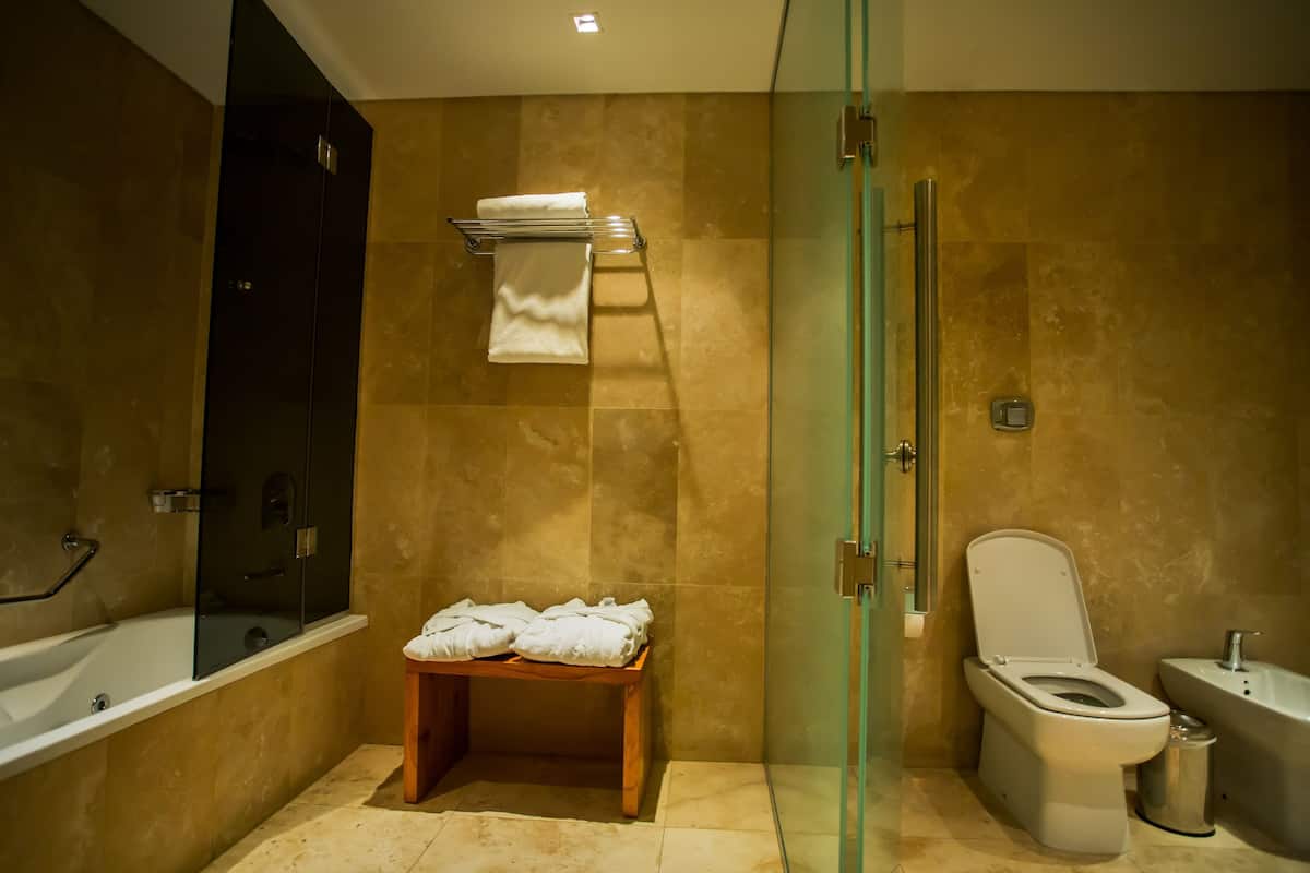 shower, designer toiletries, hair dryer, bidet