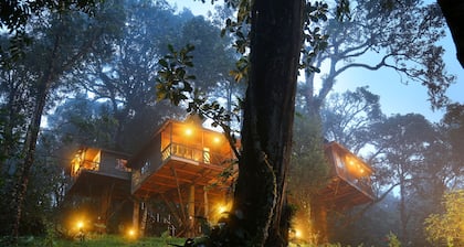 Nature Zone Jungle Resort