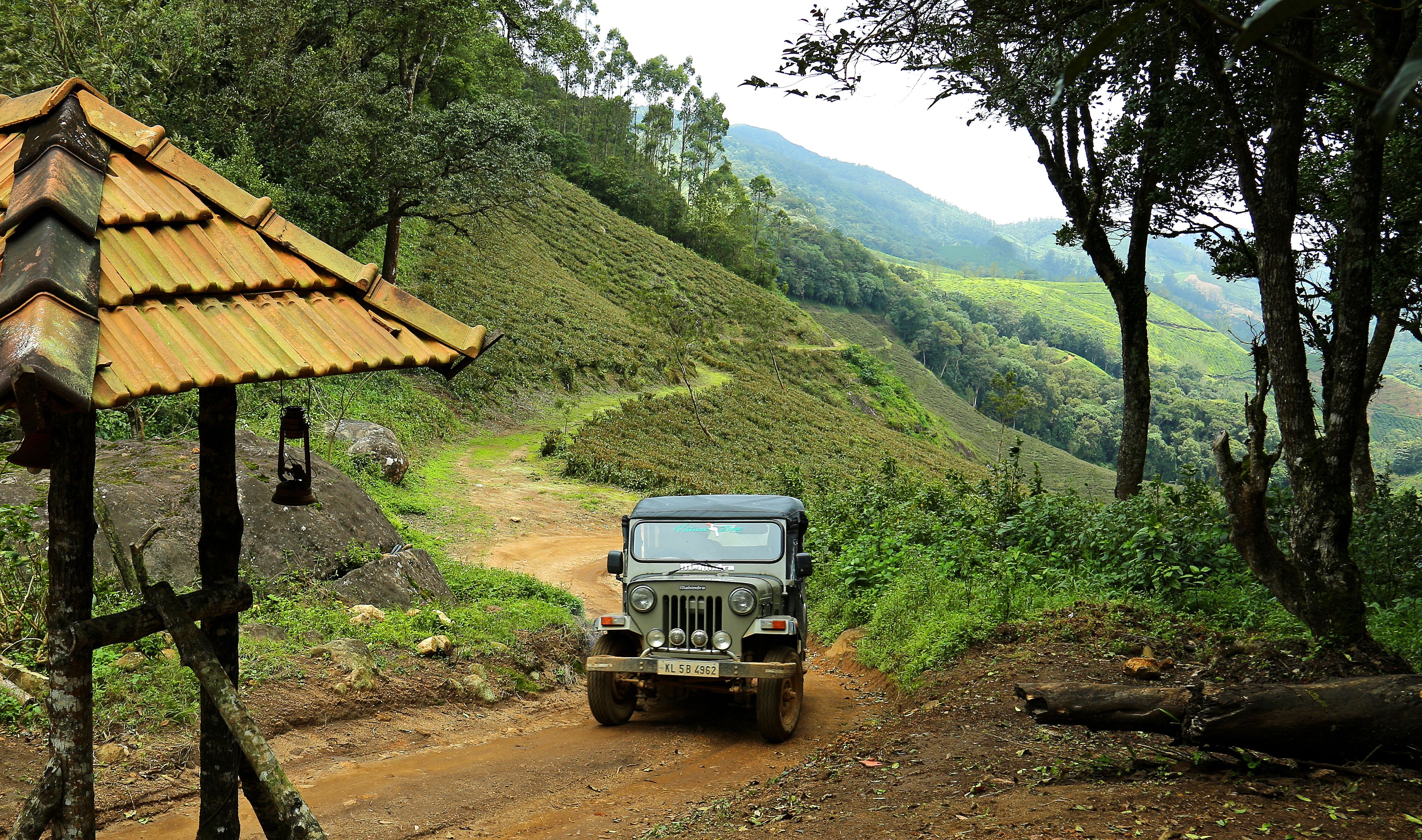 Safari