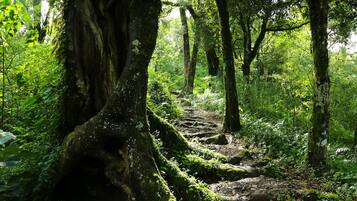 Hiking