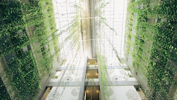 Daily buffet breakfast (IDR 60000 per person)