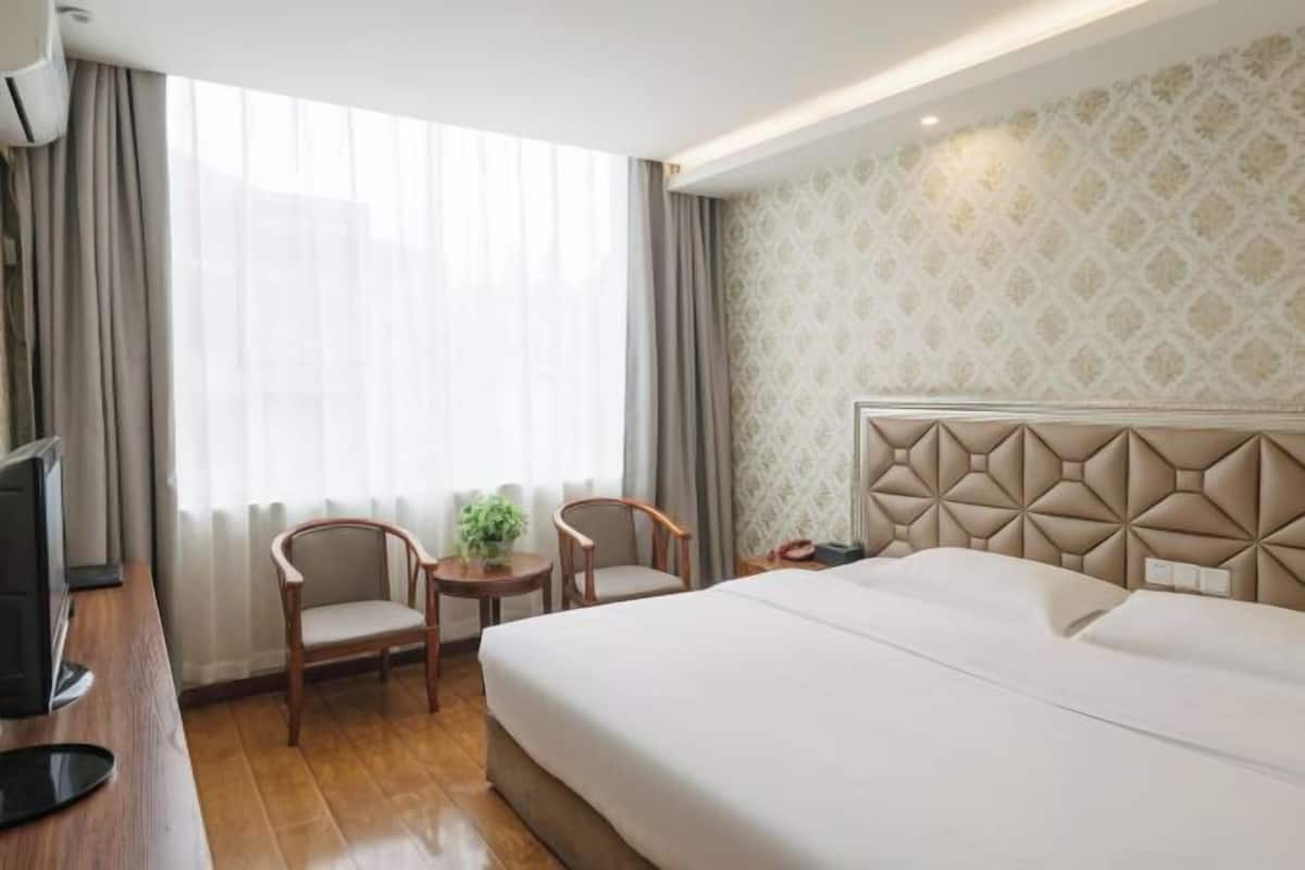 Ein Hotelzimmer mit Bett, Fernseher, zwei Sessel, einem kleinen Tisch mit Pflanze und einer Wand mit Muster.
