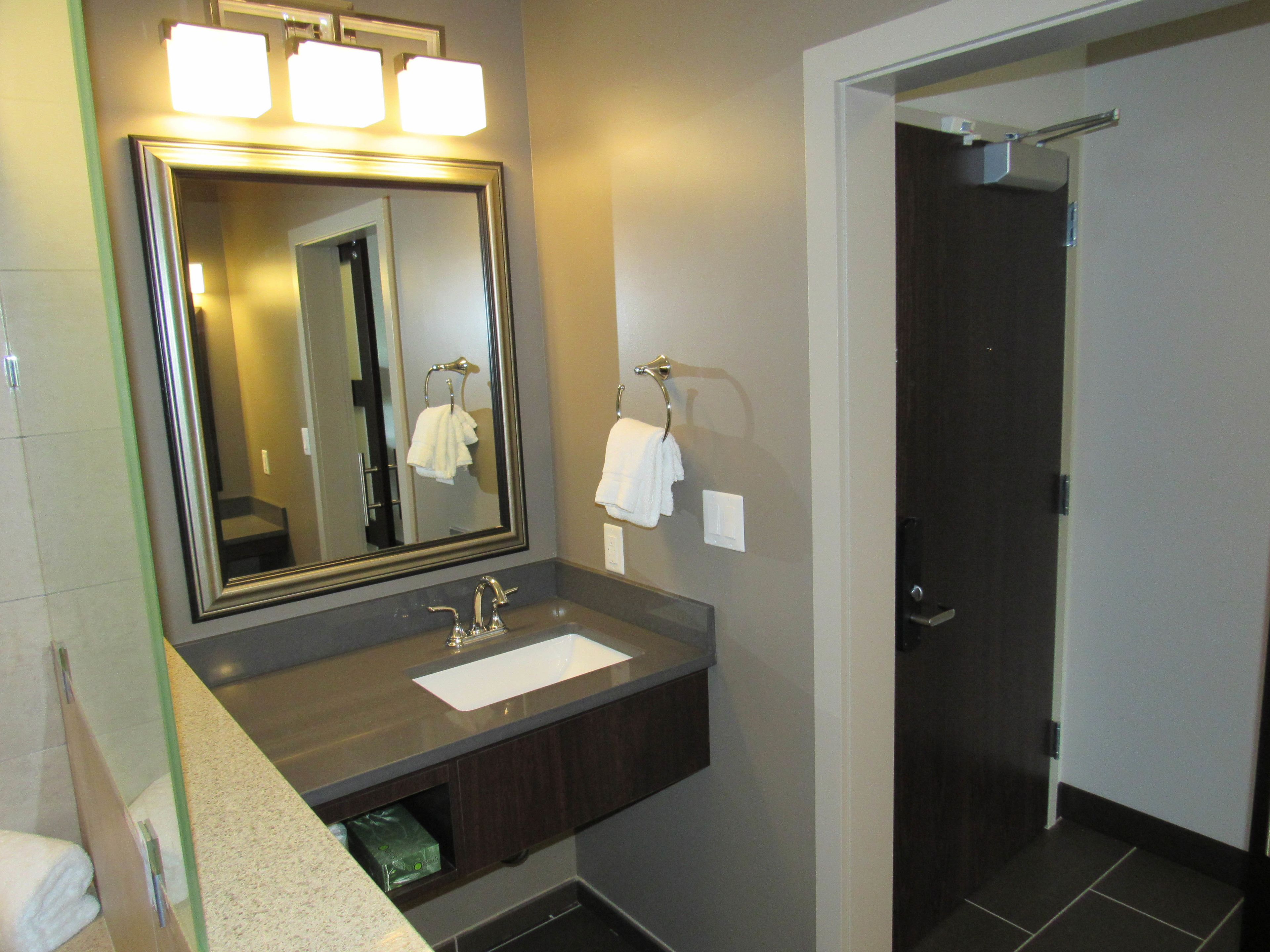 premium room, non smoking, jetted tub | bathroom | shower, hair dryer, towels
