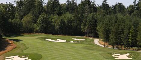 A golf course with well-maintained greens, sand bunkers, and a forested backdrop.