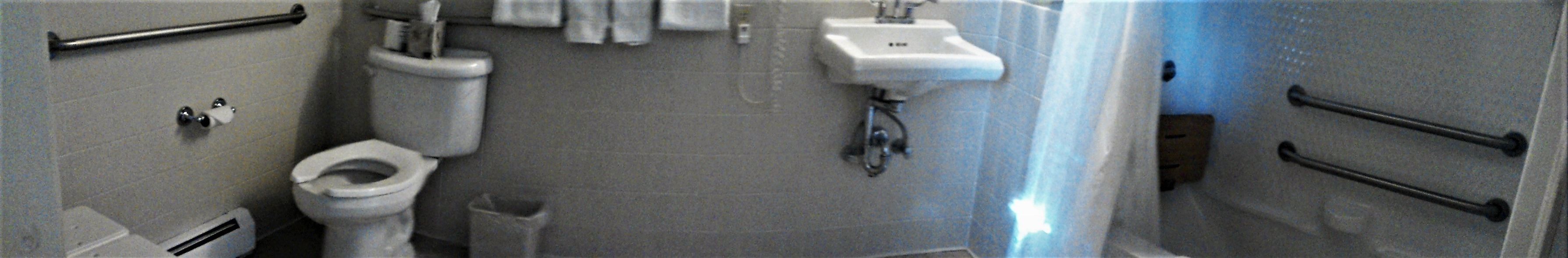 Een badkamer met toilet, wastafel en douche.