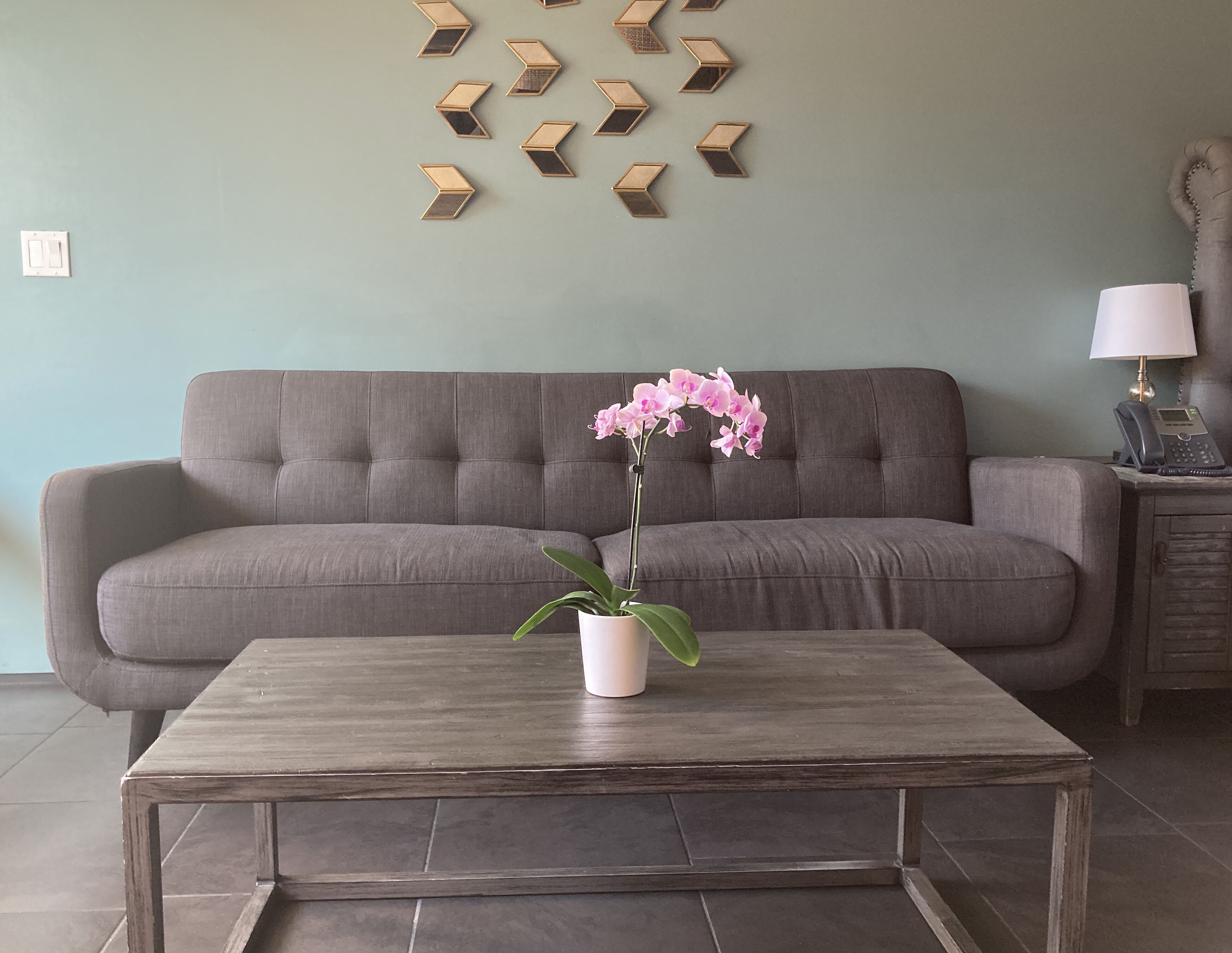 A living room with a grey sofa, a wooden coffee table with a potted orchid, and a wall-mounted geometric light fixture.