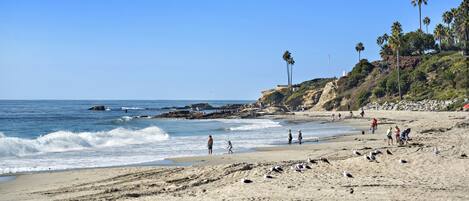 Beach nearby, beach umbrellas, beach towels