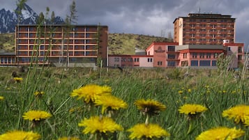 Eksteriør