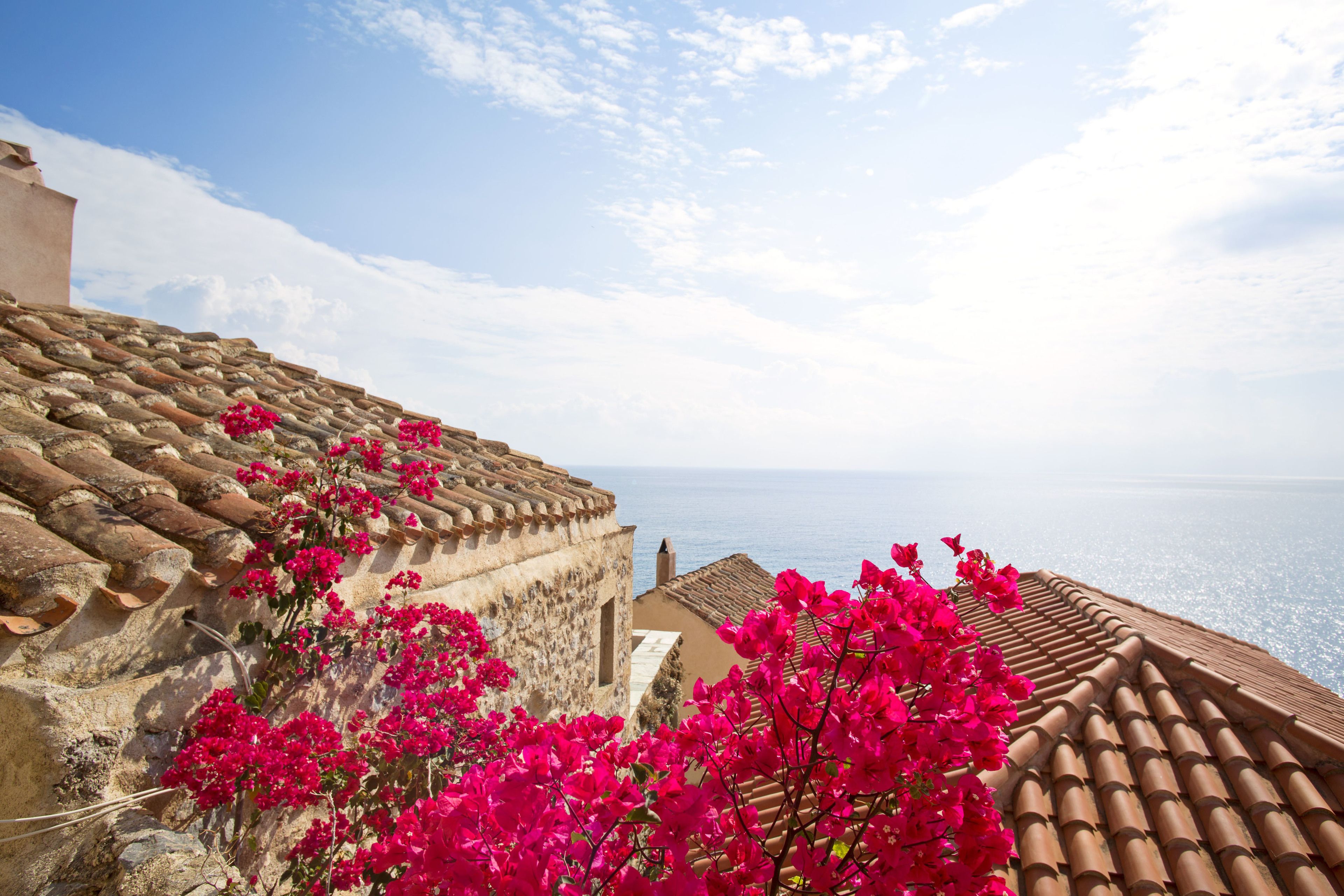 A coastal building with terracotta roof tiles and vibrant pink bougainvillea flowers.