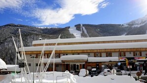 A hotel with a snow-covered roof, a wooden facade, and a view of a mountain with a waterfall.