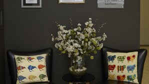 A reception area with framed awards on the wall, two black leather chairs with colorful cushions, and a small table with a vase of white flowers.