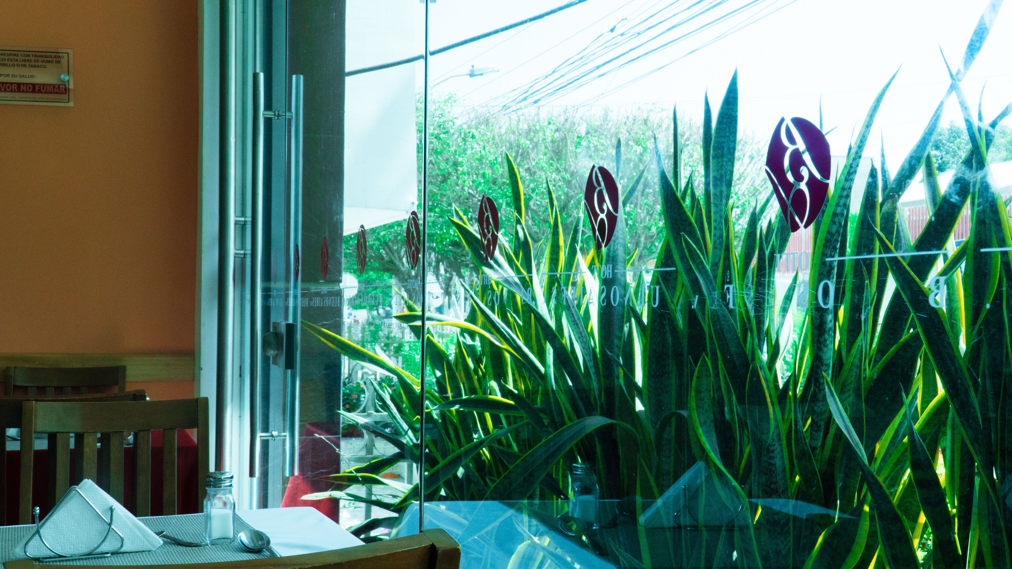 Photo - Hotel Buenos Aires