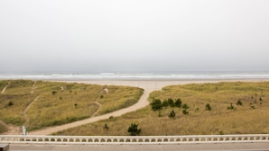A coastal landscape with a sandy beach, grassy dunes, and a paved walkway. - Hi-Tide Oceanfront Inn (Seaside)