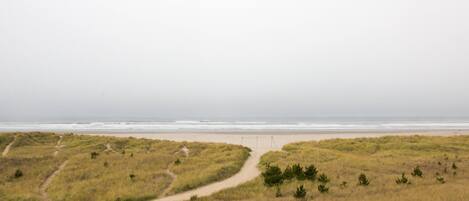 A coastal landscape with a sandy beach, grassy dunes, and a paved walkway.