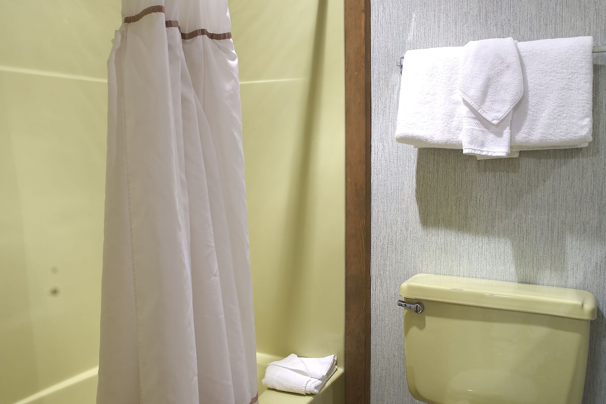 combined shower/bathtub, hair dryer, towels