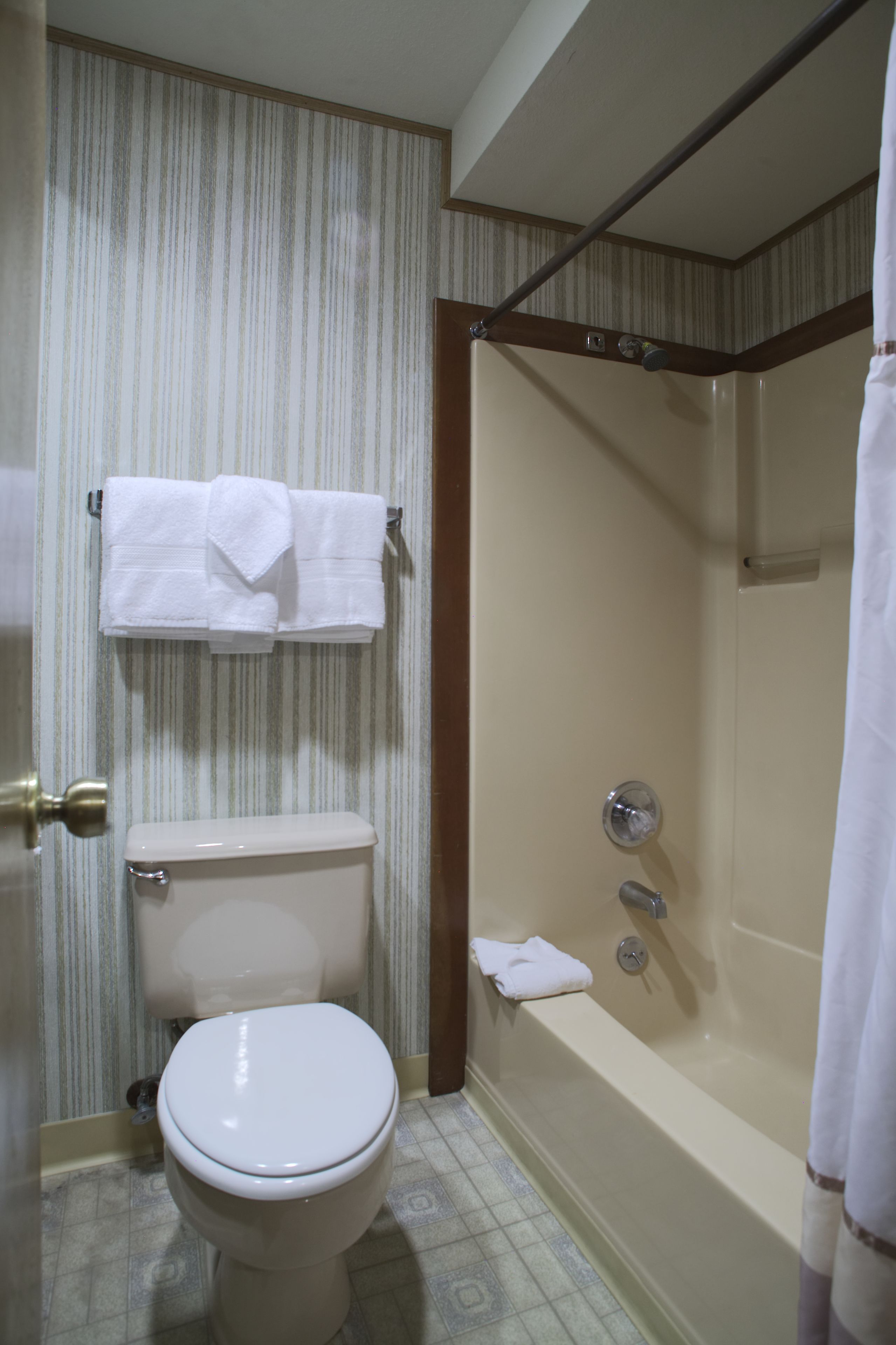 A bathroom with a toilet, a bathtub, and a shower curtain.