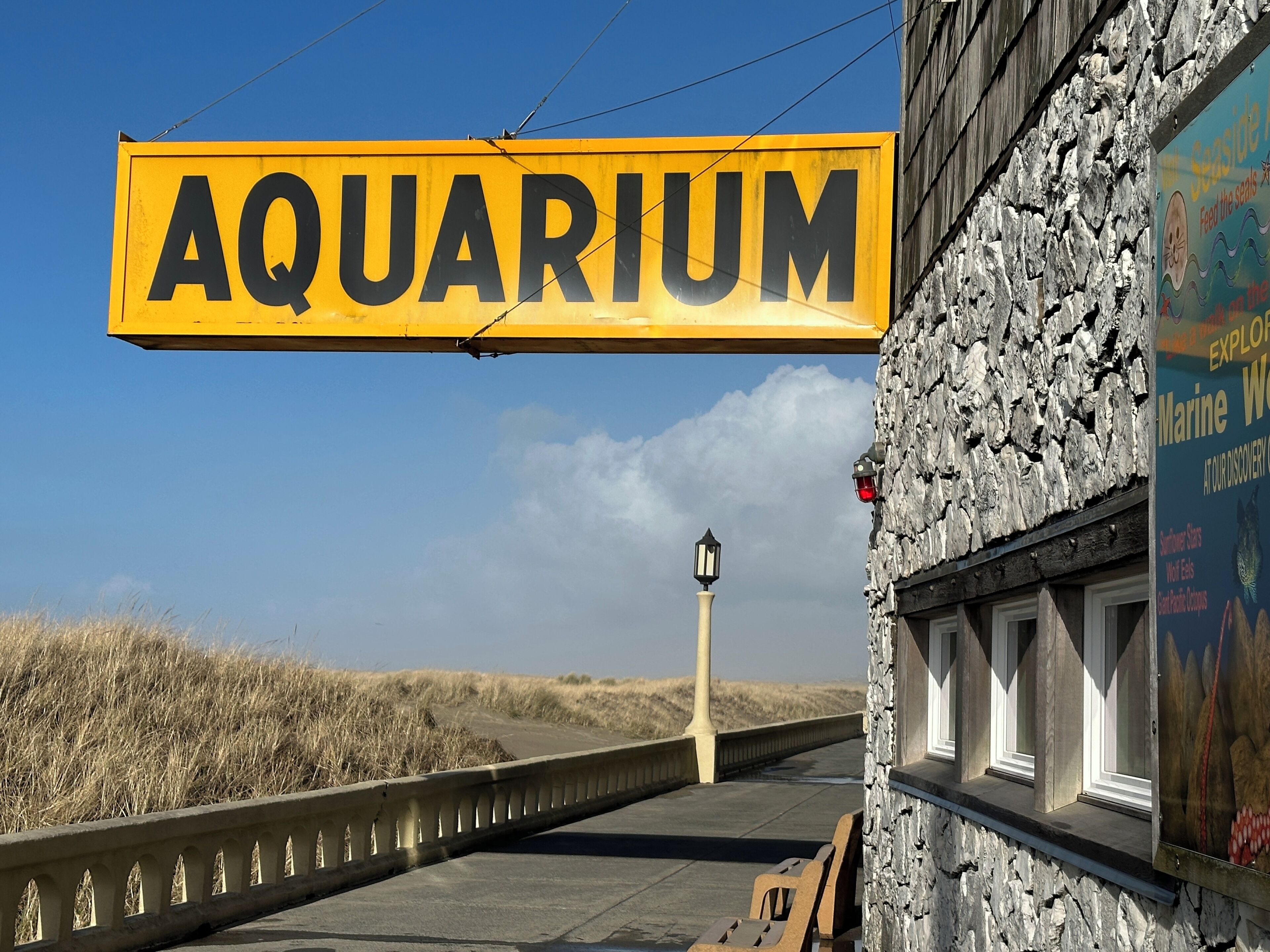 children’s activities