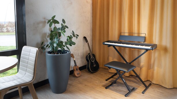 A room with a piano, a guitar, a potted plant, a white chair, and a view through a window. - ibis Douai Dechy (Dechy)