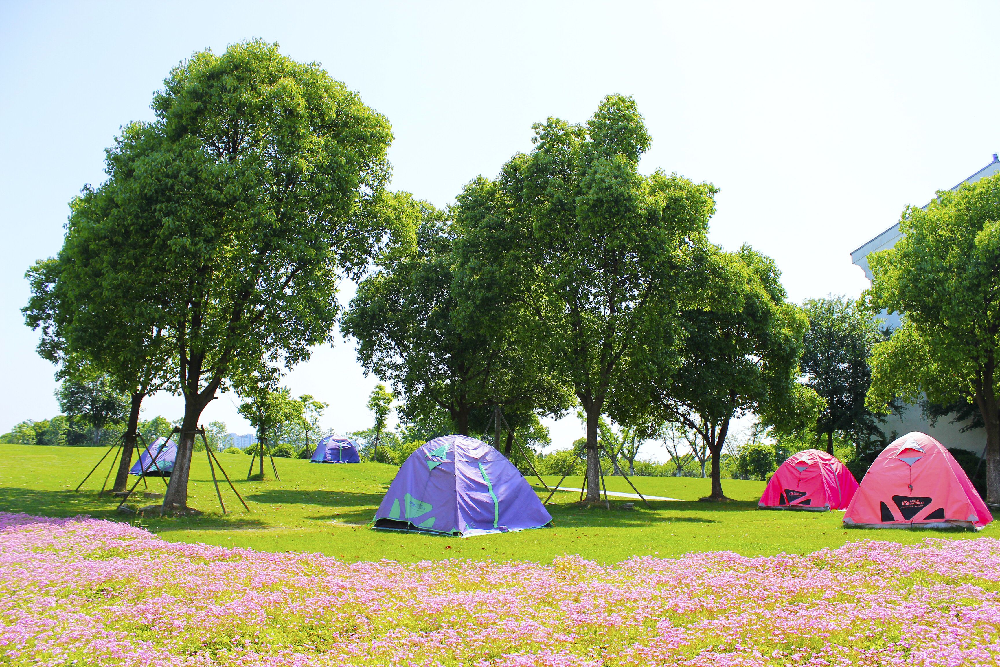 children’s activities