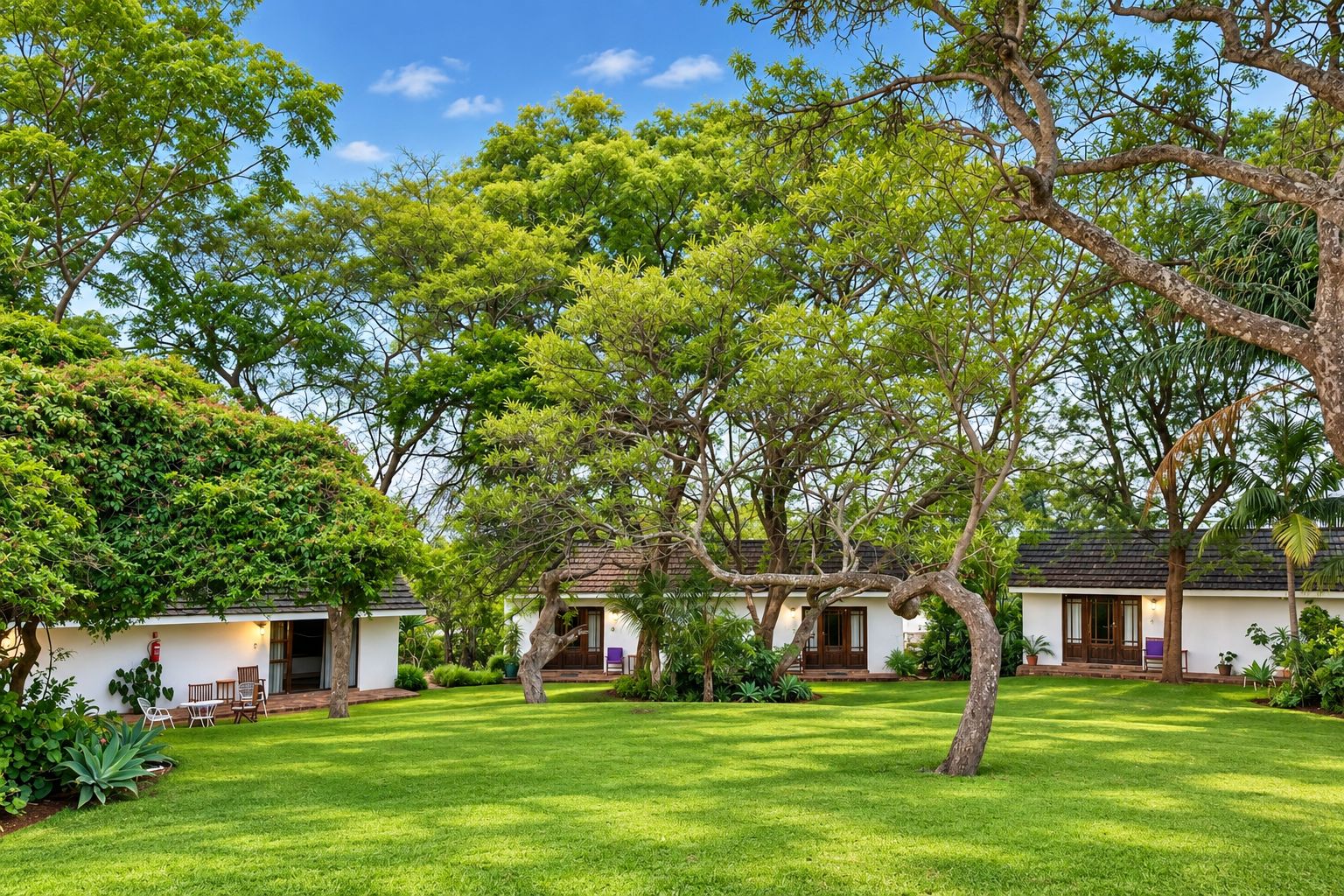 Una propiedad de estilo bungalow con un césped cuidado, varios árboles y cielo despejado.