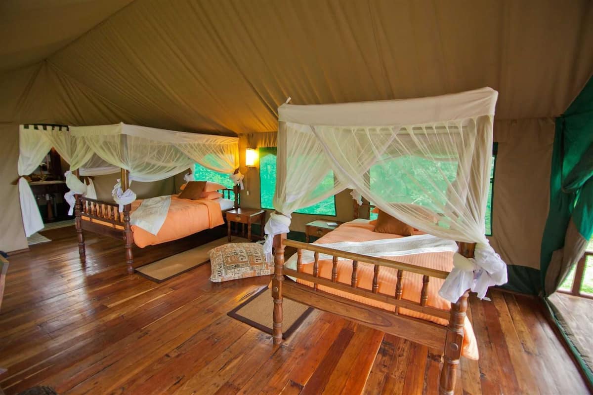 Safari Room (Twin) | Desk