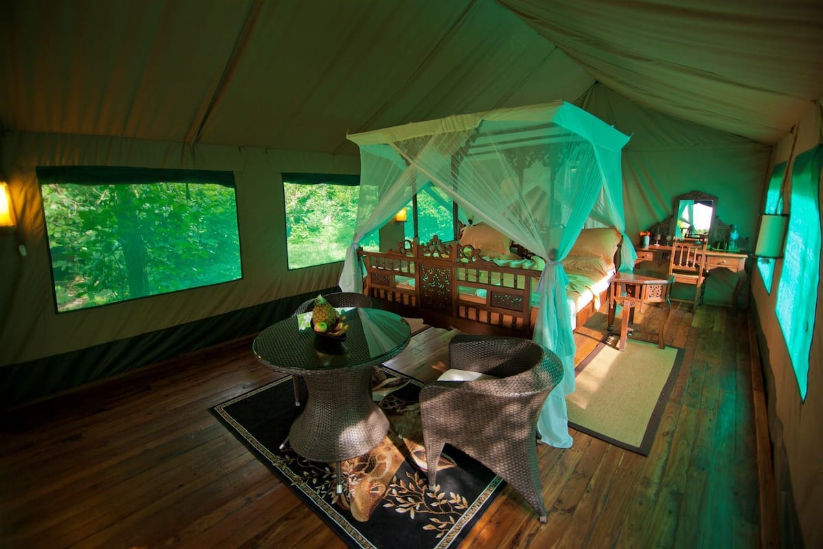 Safari Room (Double) | Desk