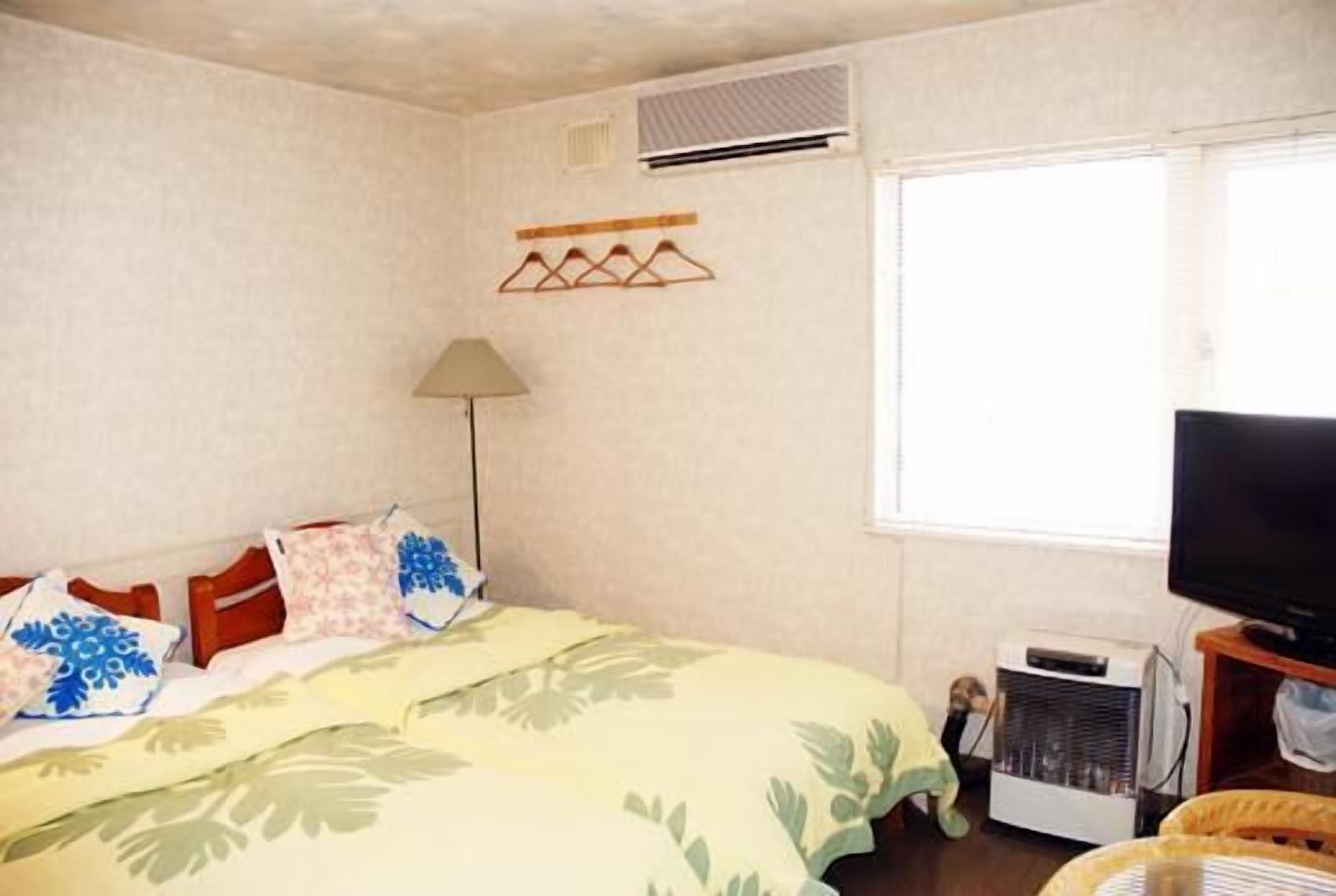 A bedroom with a bed, a TV, a heater, and a window.
