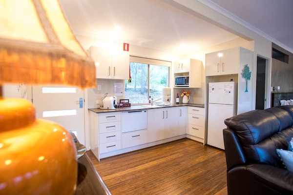 Self Contained Cabin, 1 Bedroom, Non Smoking, Kitchen (Pavilion in the Treetops), Pet-Friendly | Private kitchen