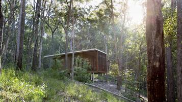 Self Contained Cabin, 1 Bedroom, Non Smoking, Kitchen (Pavilion in the Treetops), Pet-Friendly | View from room