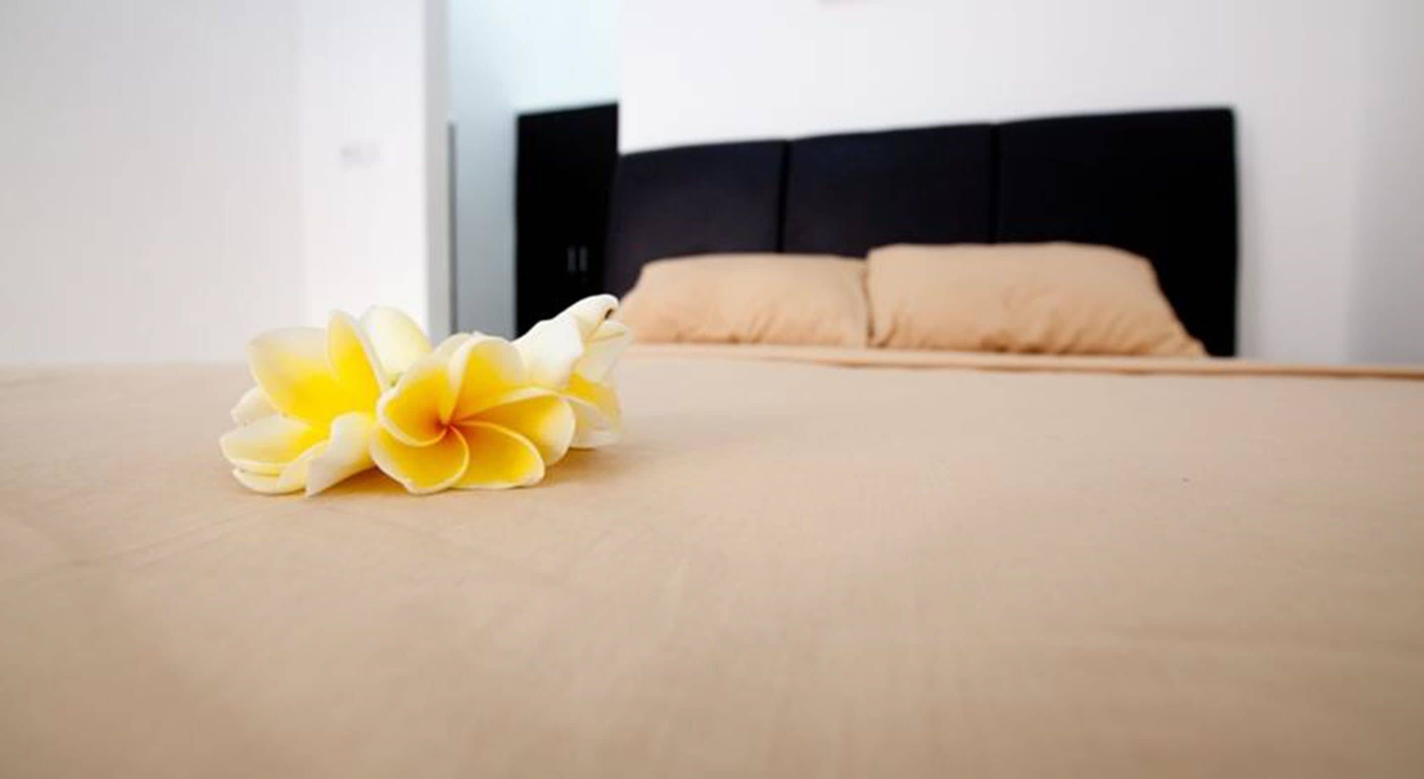 Photo - Seminyak Point Guest House