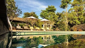 A pool area with lounge chairs and umbrellas, surrounded by trees and a clear sky.
