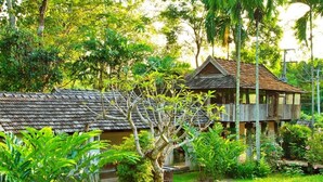 A rustic wooden house with a tiled roof, surrounded by lush greenery and a well-maintained garden.