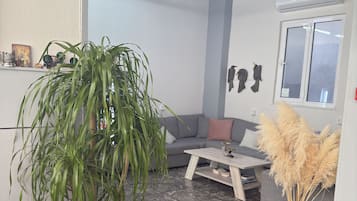 A modern living room with a grey sofa, a coffee table, a large potted plant, and a decorative vase with pampas grass.