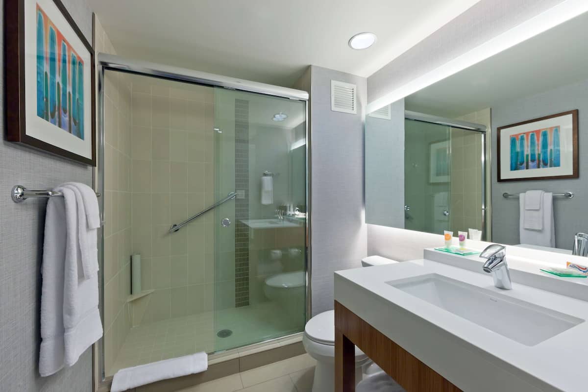 designer toiletries, hair dryer, towels