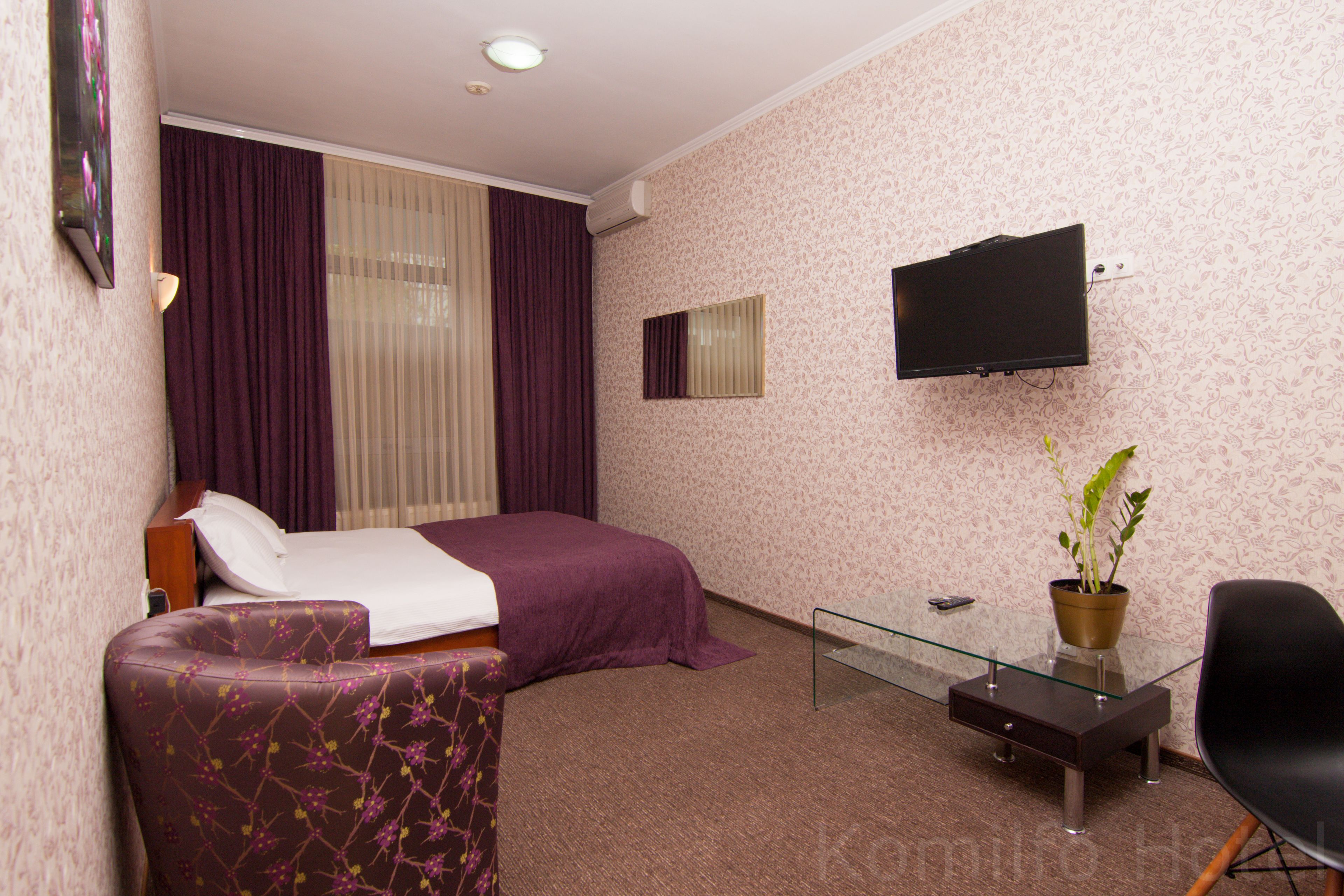 Habitación de hotel con cama, una mesita de vidrio, una silla, televisor y planta en maceta.