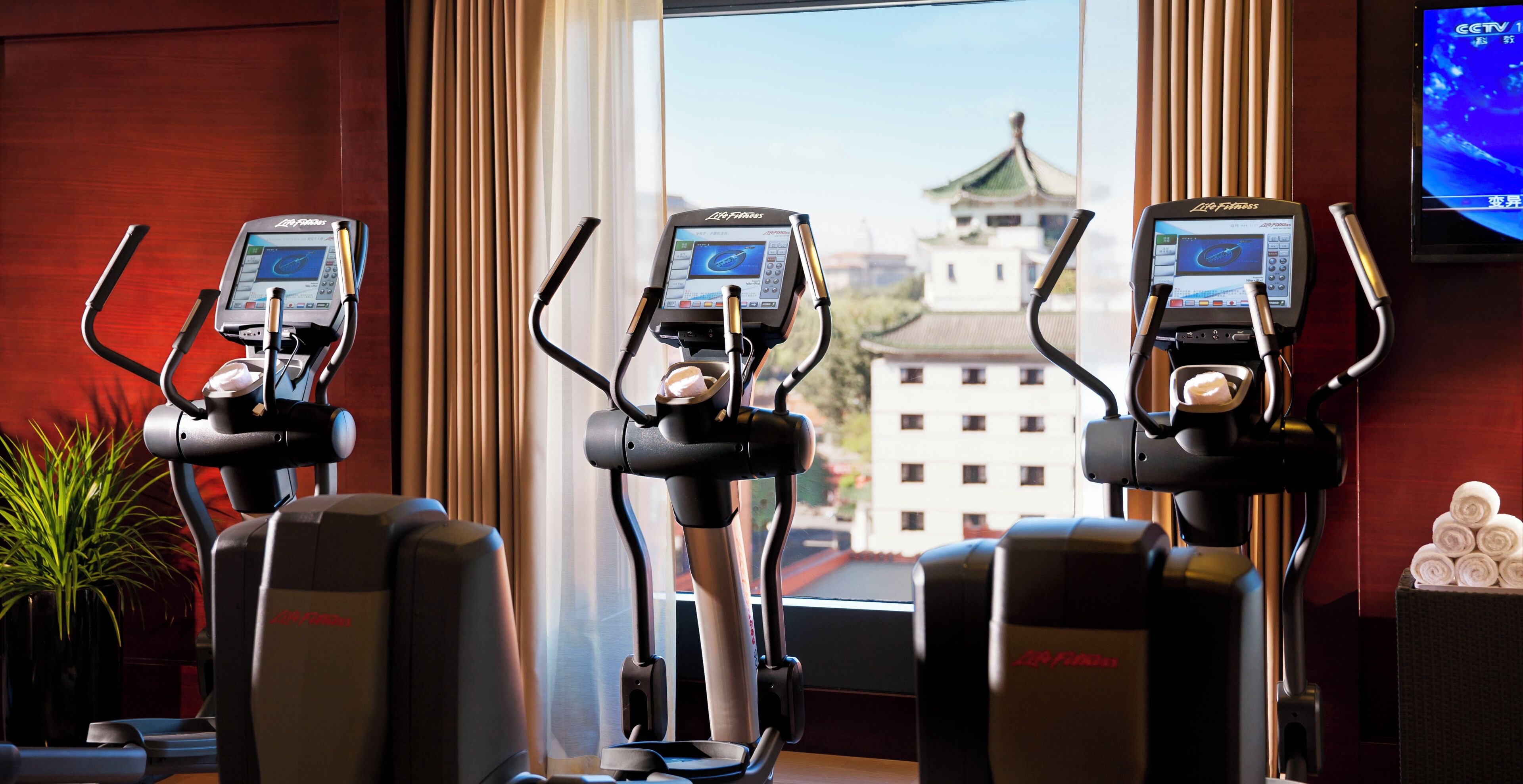 Three exercise bikes with digital displays, a potted plant, and a view of a building with a green roof through a window.