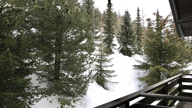A wooden deck overlooking a snowy forest with tall evergreen trees.