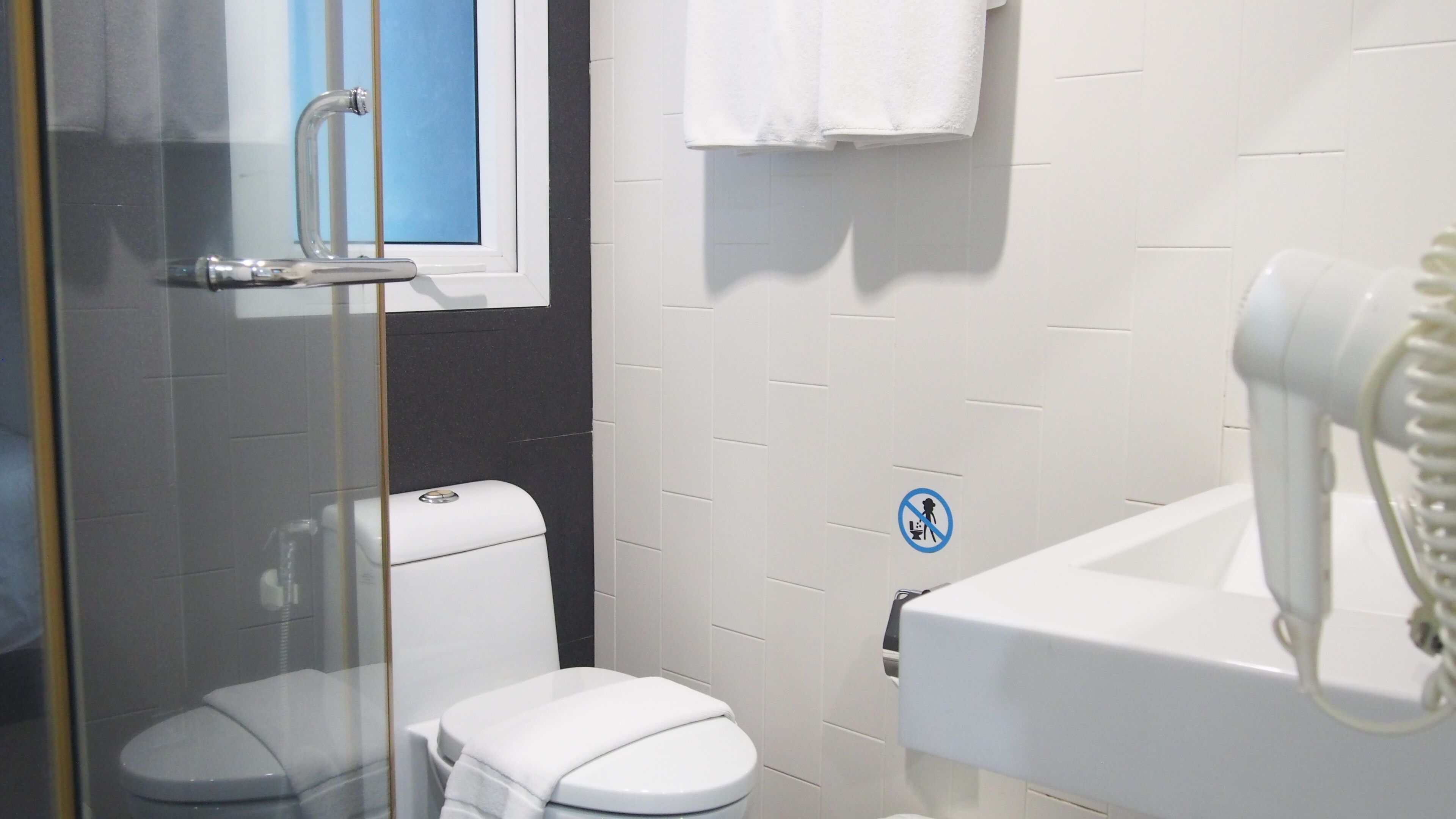 shower, free toiletries, bidet, towels