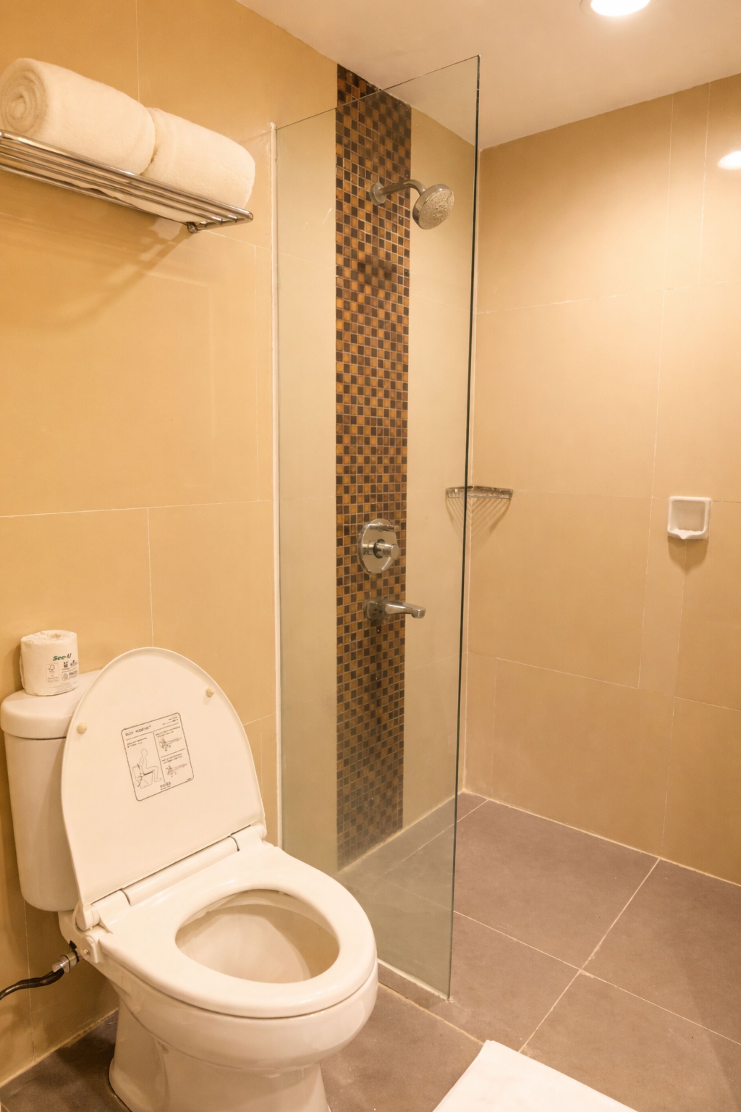 A bathroom with a toilet, a glass shower enclosure, and a towel rack.