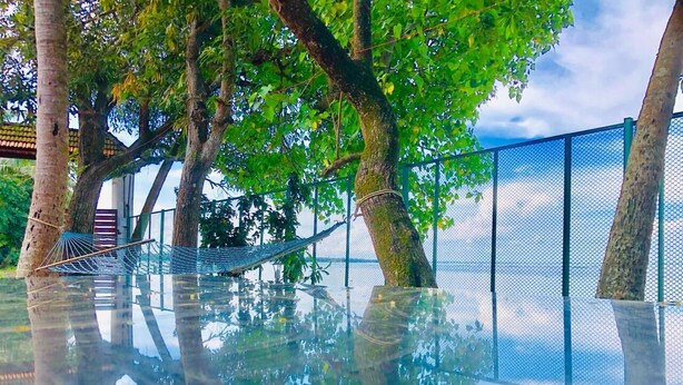 A tranquil indoor water feature with trees and a mesh fence. - Saro Lake County (Kottayam)