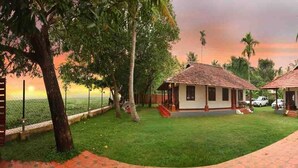 A bungalow with a tiled roof, surrounded by lush greenery and palm trees, with a paved driveway and a bicycle parked nearby. - Saro Lake County (Kottayam)