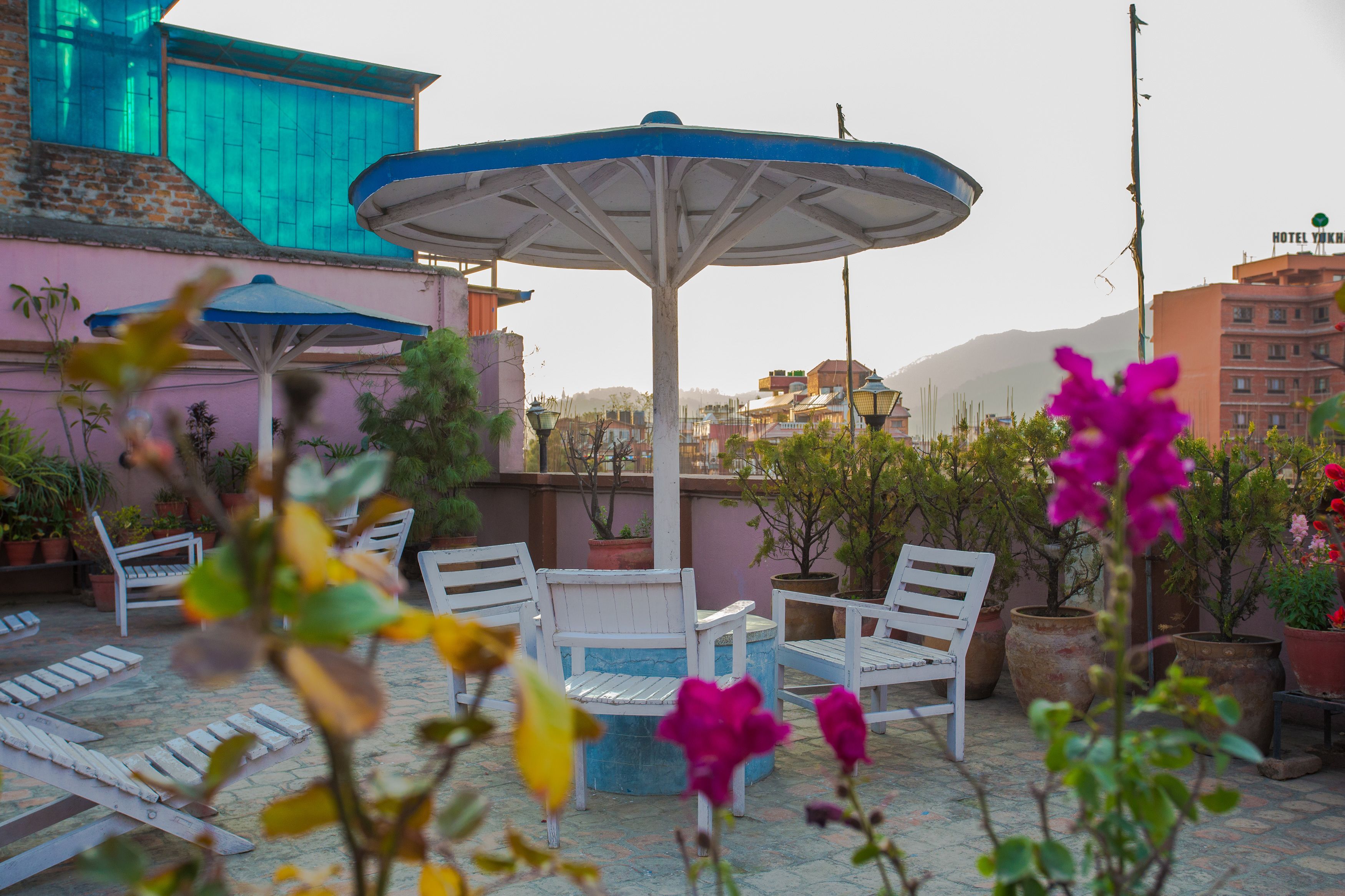 Foto - Potala Guest House